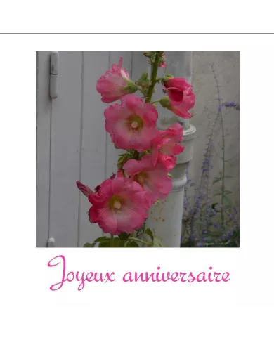 Carte C15 Anniversaire N°81