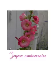 Carte C15 Anniversaire N°81