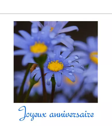 Carte C15 Anniversaire N°123