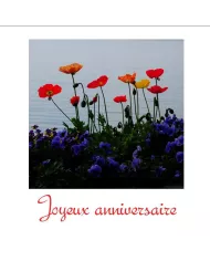 Carte C15 Anniversaire N°1276