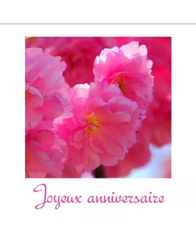 Carte C15 Anniversaire N°1287