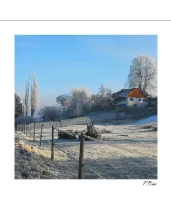 Carte C15 Hiver N°24