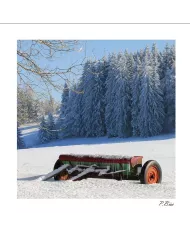 Carte C15 Hiver N°61