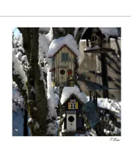 Carte C15 Hiver N°65