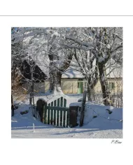 Carte C15 Hiver N°71