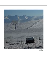 Carte C15 Hiver N°123