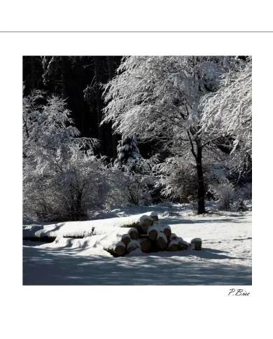 Carte C15 Hiver N°127