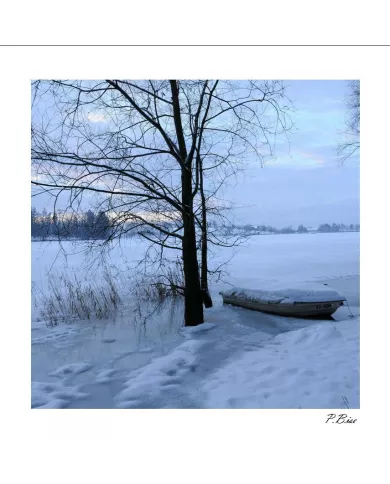 Carte C15 Hiver N°169