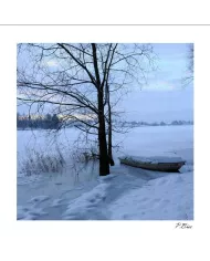 Carte C15 Hiver N°169