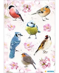 Stickers Herma Oiseaux