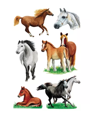 Stickers Herma Chevaux