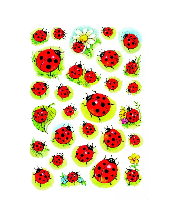 Stickers Herma Coccinelles et fleur